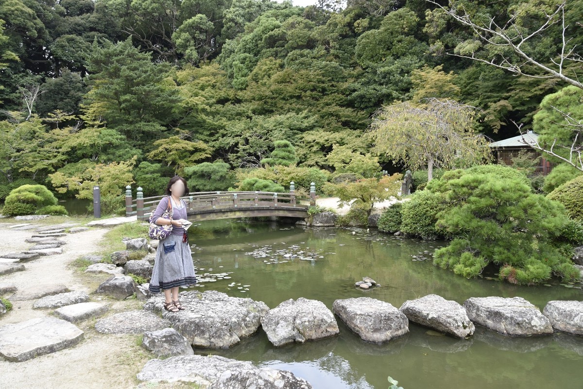 f:id:yasukazu01:20191009181719j:plain f:id:yasukazu01:20191009181719j:plain