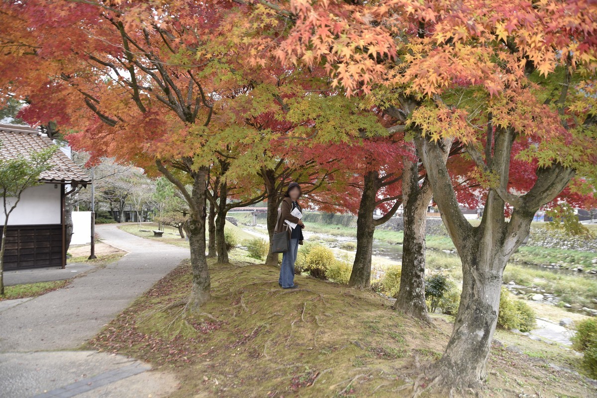 f:id:yasukazu01:20191122211708j:plain f:id:yasukazu01:20191122211708j:plain