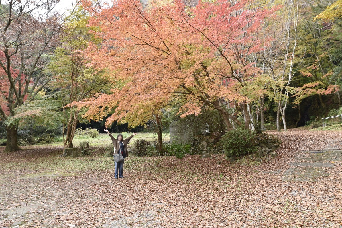 f:id:yasukazu01:20191126155016j:plain