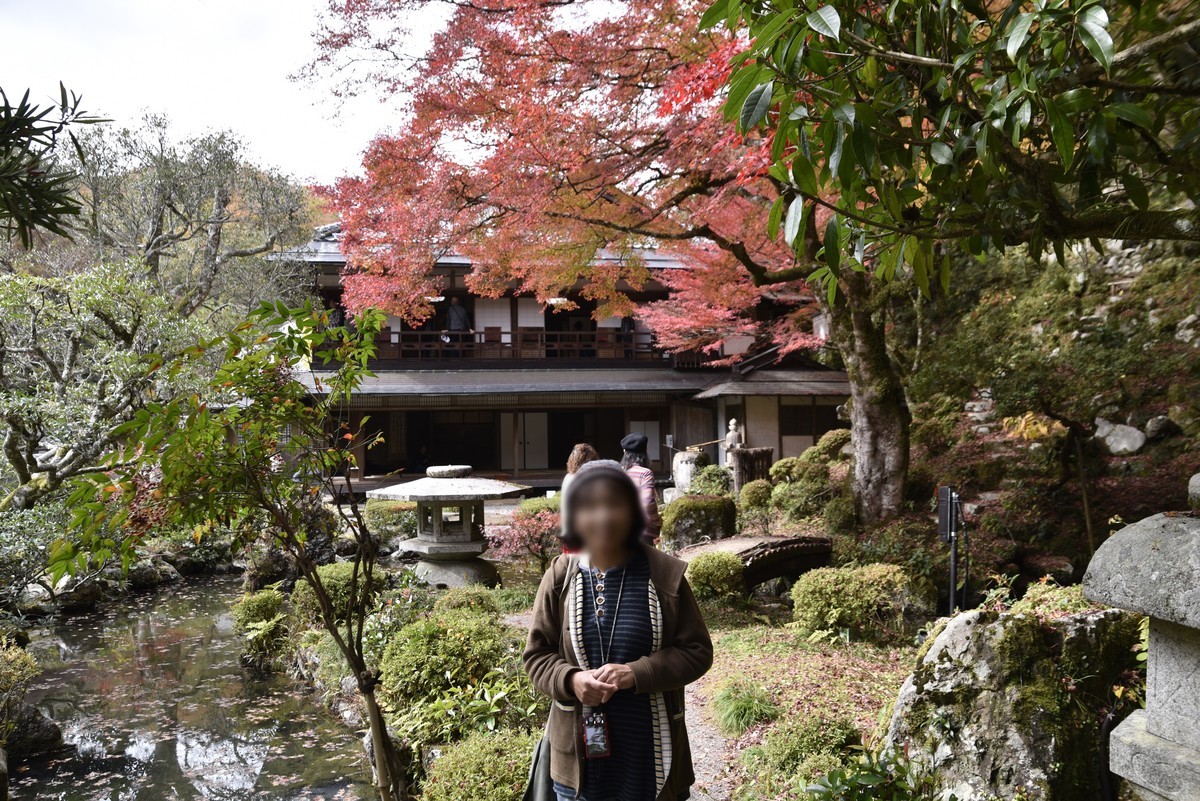 f:id:yasukazu01:20191202181220j:plain