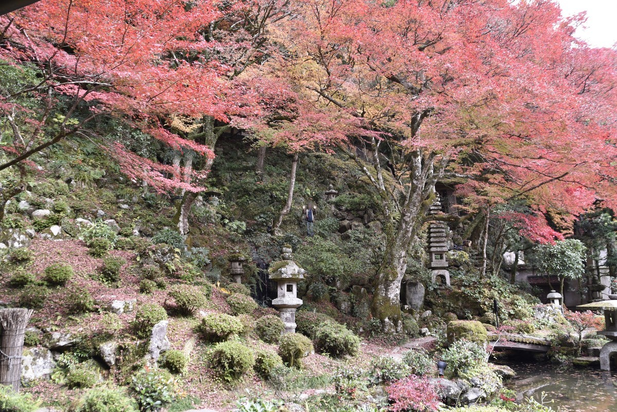 f:id:yasukazu01:20191202182925j:plain