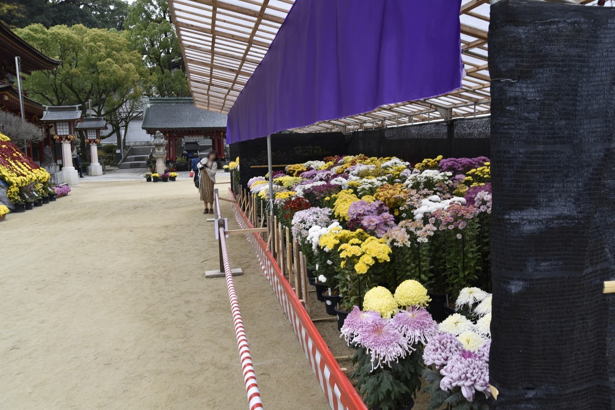 f:id:yasukazu01:20191209150034j:plain