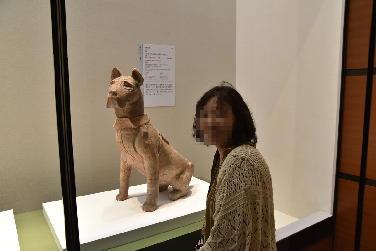 f:id:yasukazu01:20191215184536j:plain f:id:yasukazu01:20191215184536j:plain