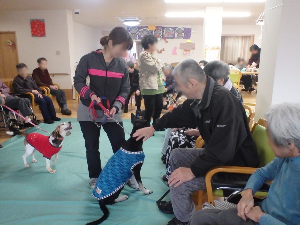 f:id:yasukazu01:20191216183721j:plain