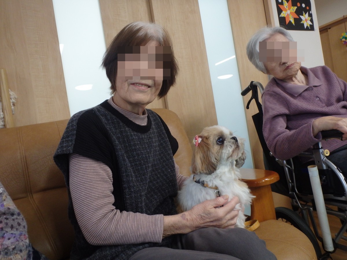 f:id:yasukazu01:20191216184813j:plain