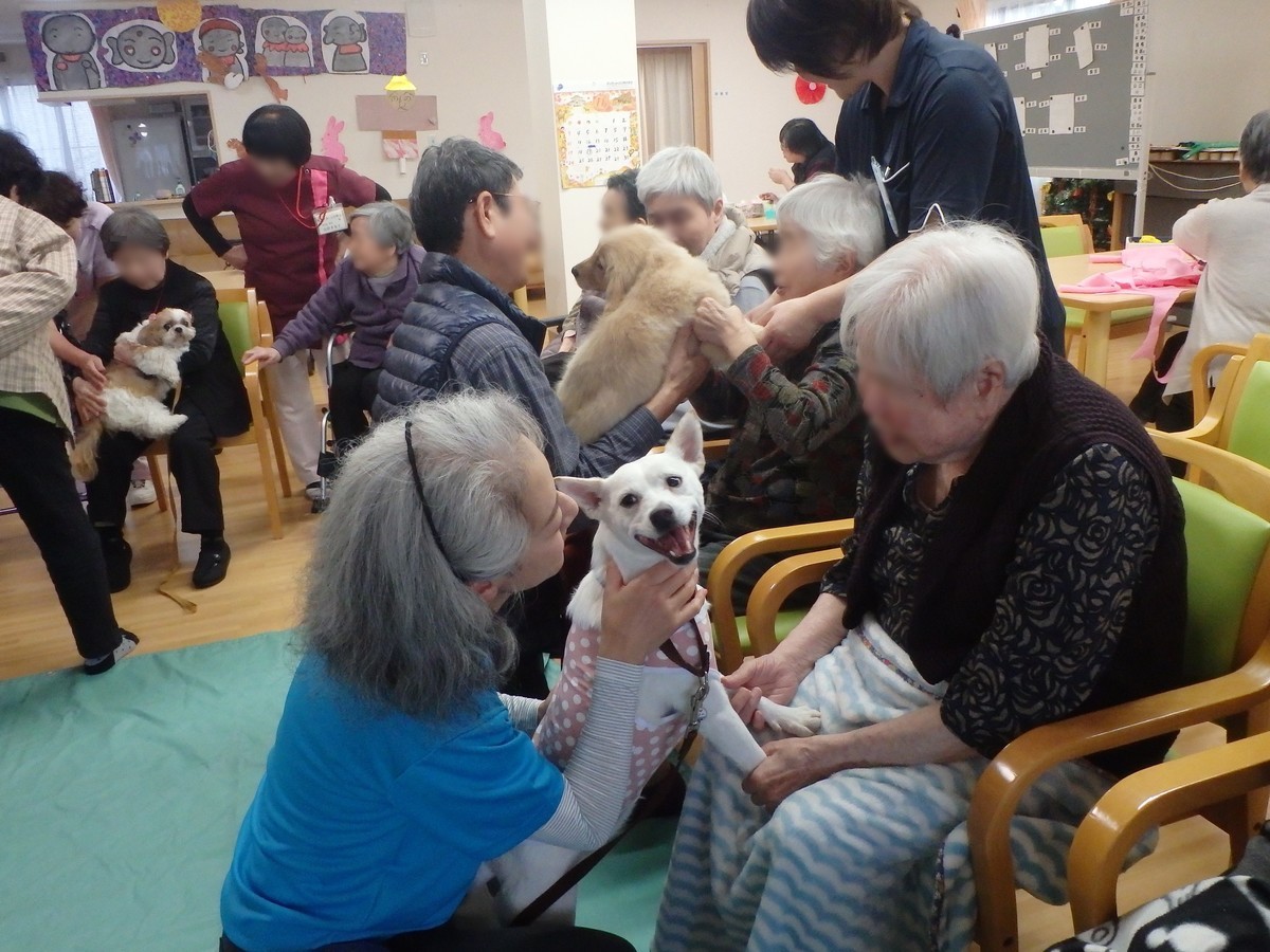 f:id:yasukazu01:20191216184954j:plain
