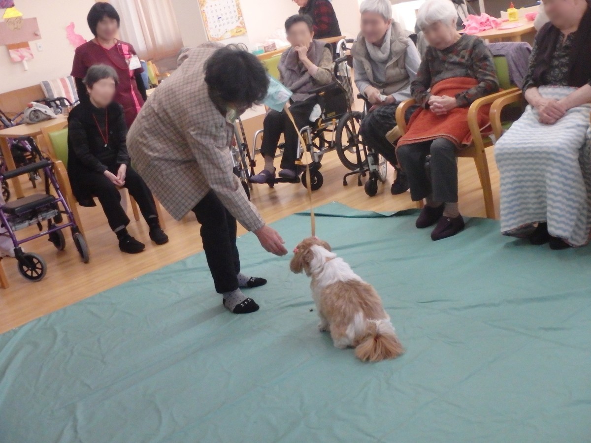 f:id:yasukazu01:20191216185829j:plain