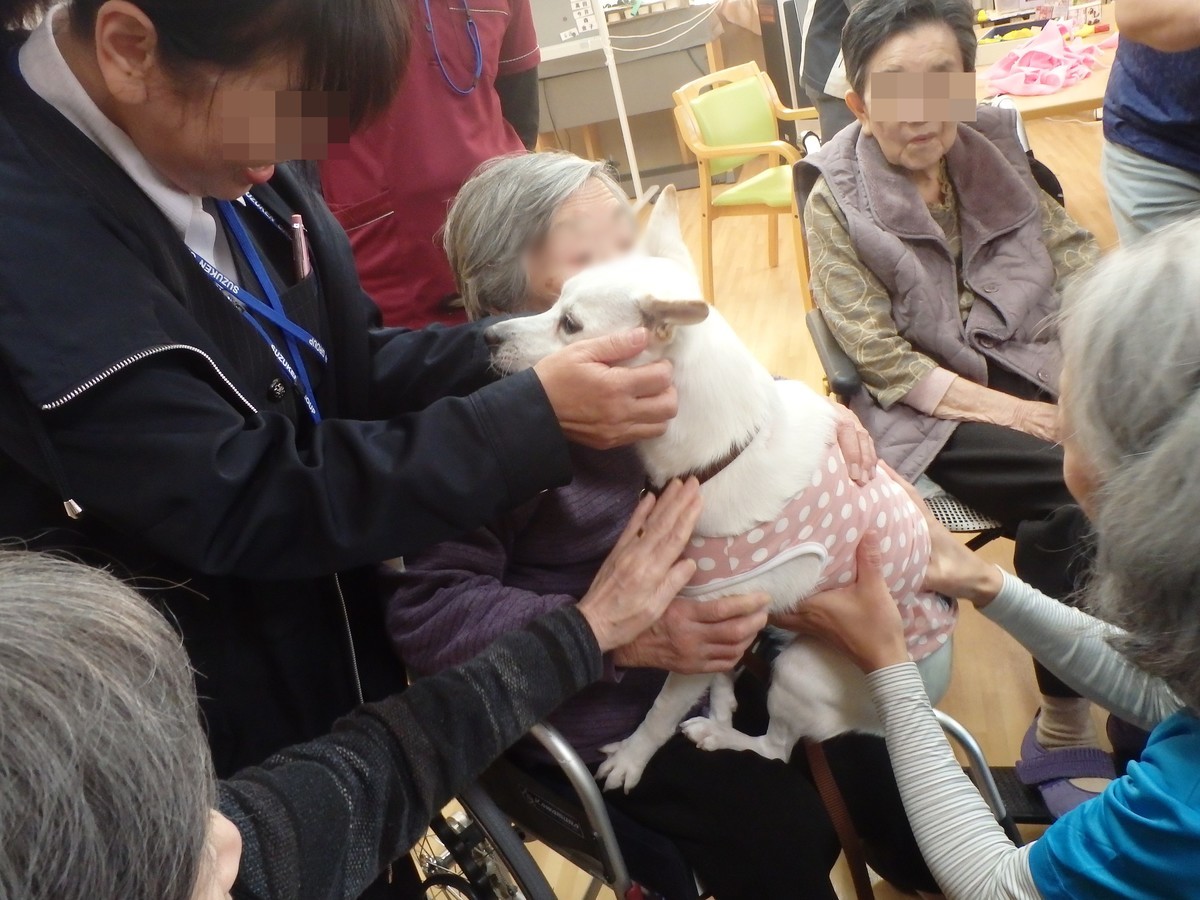 f:id:yasukazu01:20191216190638j:plain