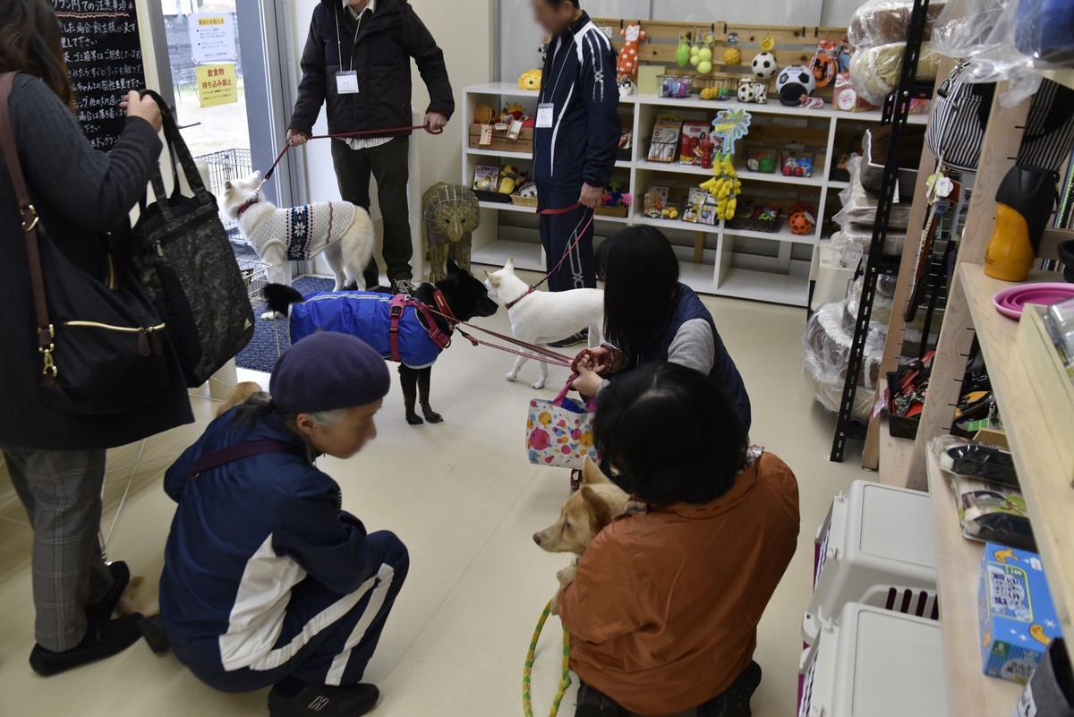 f:id:yasukazu01:20200211144027j:plain