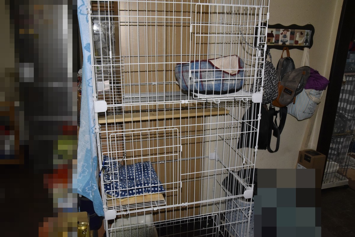 f:id:yasukazu01:20200222211248j:plain f:id:yasukazu01:20200222211248j:plain