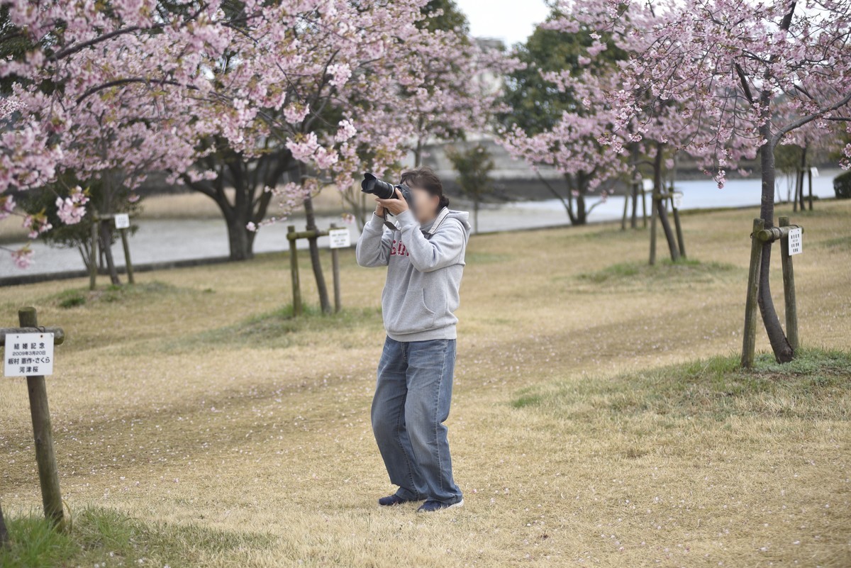 f:id:yasukazu01:20200311153218j:plain
