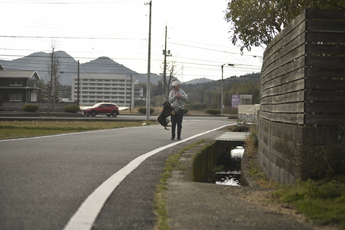 f:id:yasukazu01:20200312150410j:plain