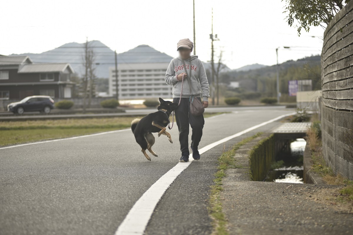 f:id:yasukazu01:20200312150844j:plain