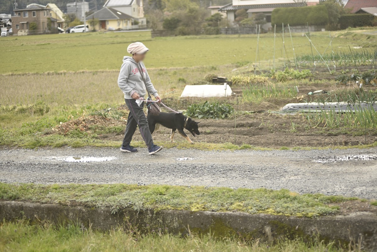 f:id:yasukazu01:20200312153503j:plain