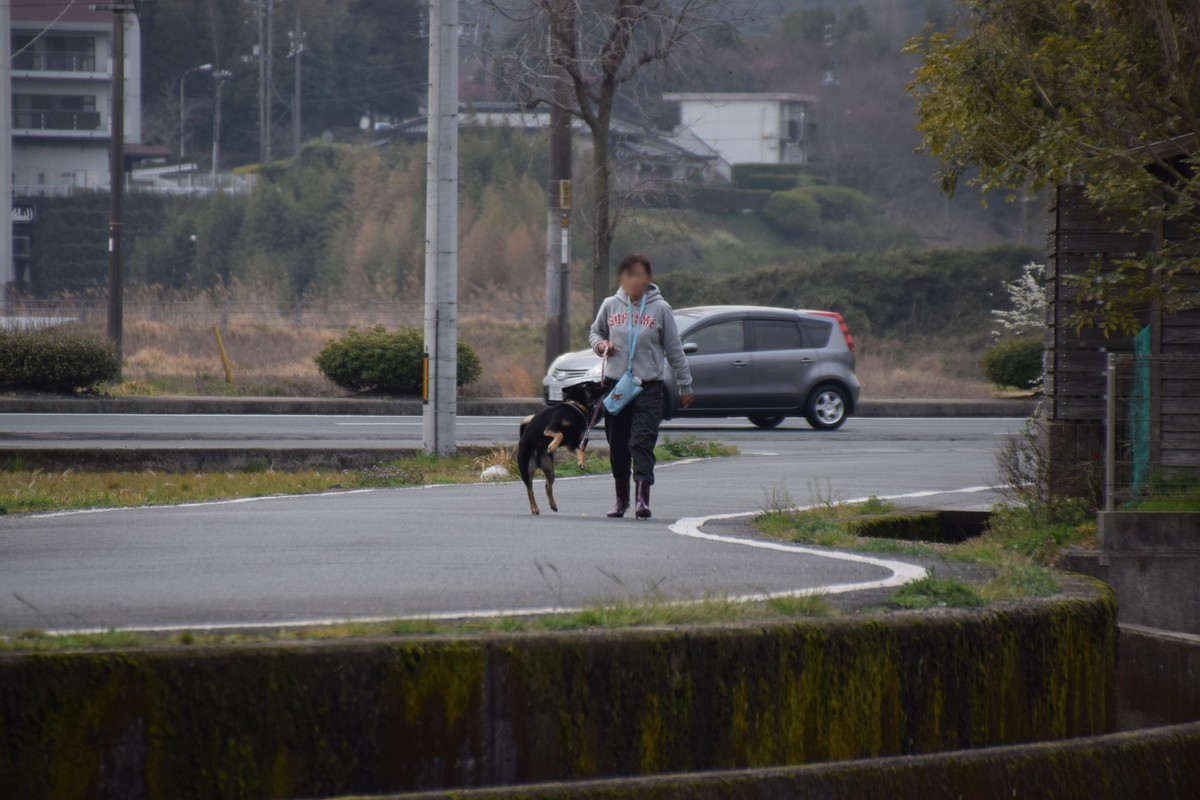 f:id:yasukazu01:20200325154251j:plain