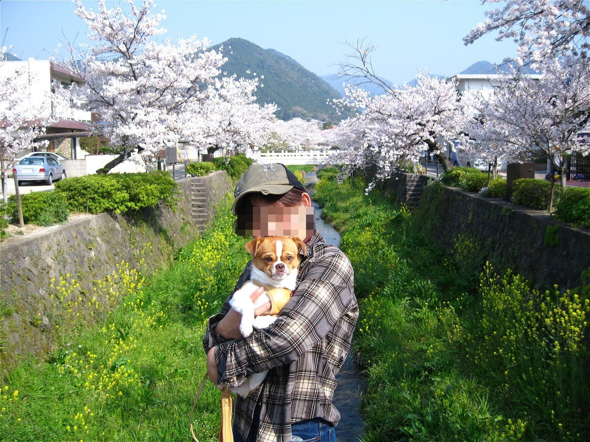 f:id:yasukazu01:20200413140031j:plain