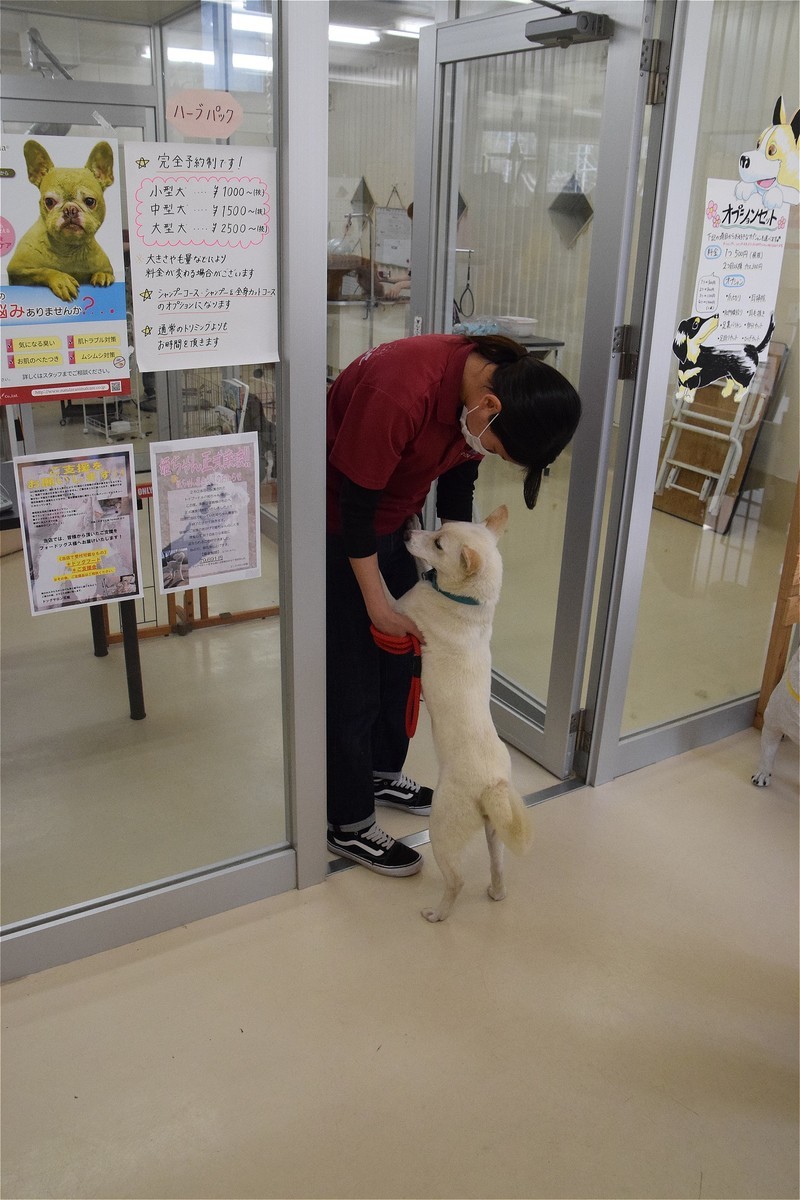 f:id:yasukazu01:20200418153144j:plain