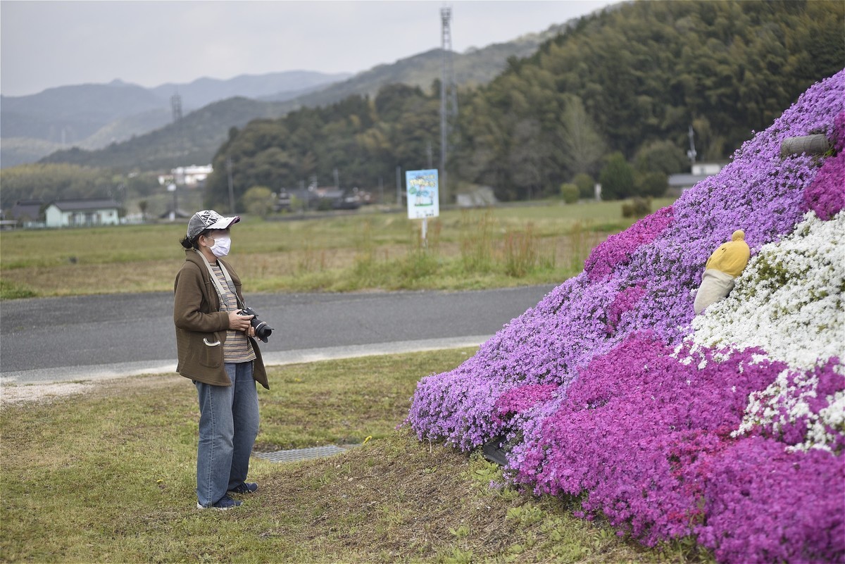 f:id:yasukazu01:20200421211136j:plain