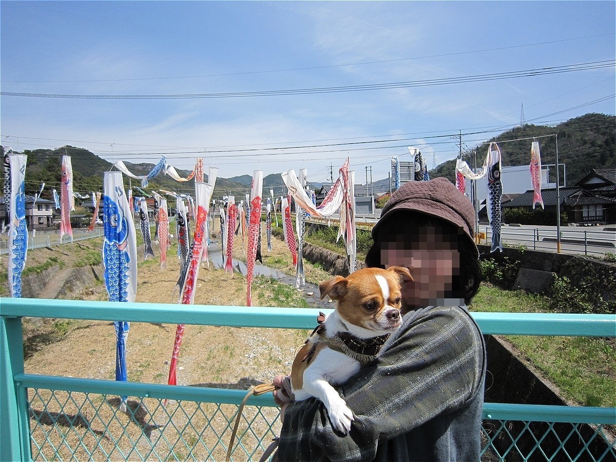 f:id:yasukazu01:20200430221022j:plain