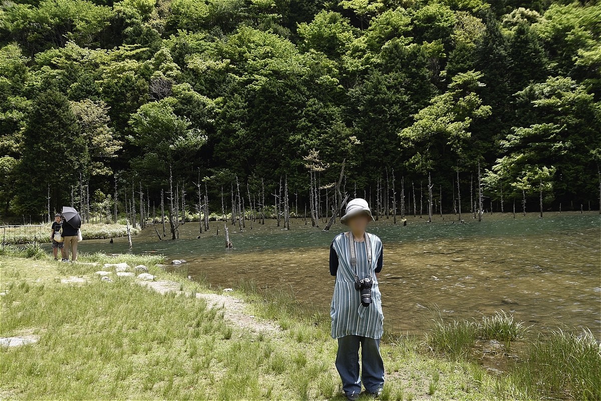 f:id:yasukazu01:20200526185648j:plain