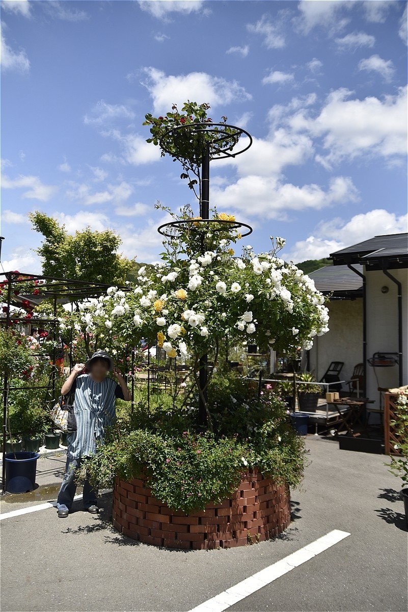 f:id:yasukazu01:20200528185249j:plain