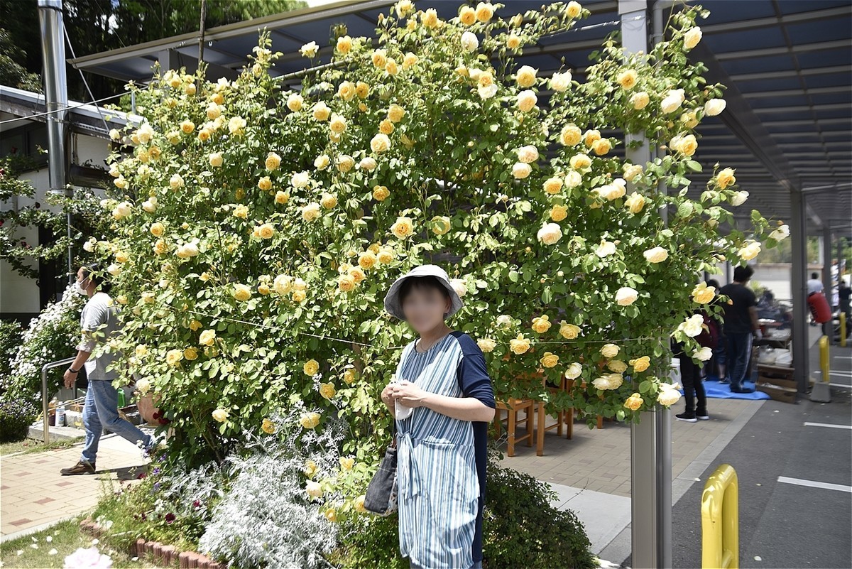 f:id:yasukazu01:20200528185331j:plain
