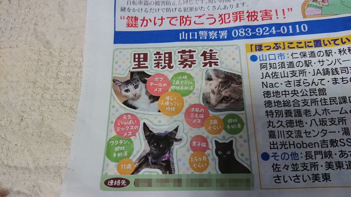 f:id:yasukazu01:20200613191046j:plain f:id:yasukazu01:20200613191046j:plain