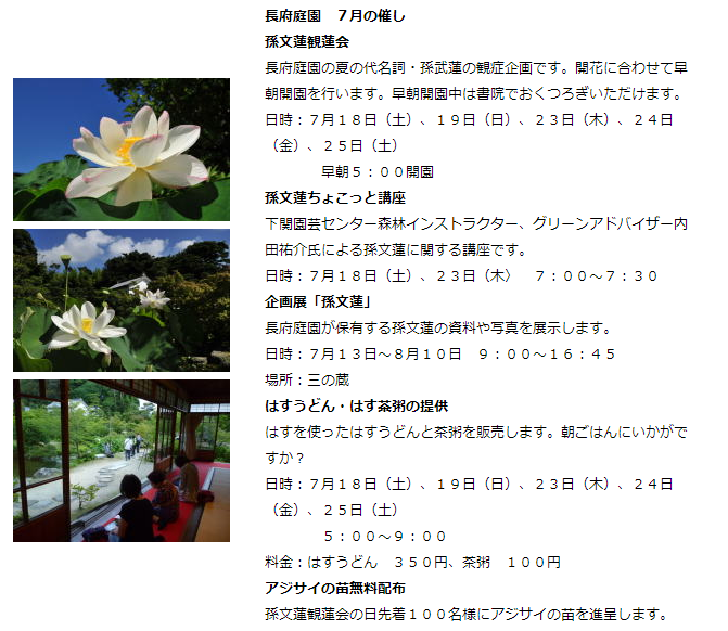 f:id:yasukazu01:20200723175808p:plain f:id:yasukazu01:20200723175808p:plain