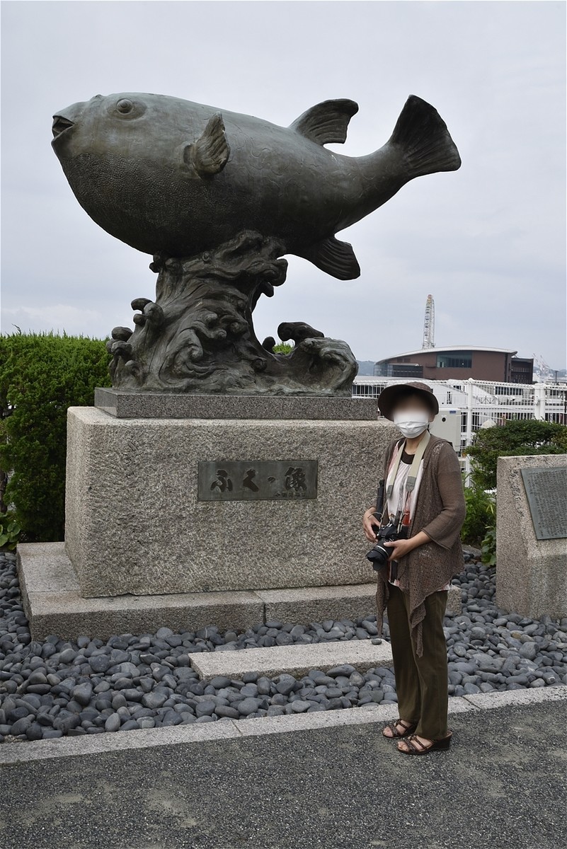 f:id:yasukazu01:20200731172734j:plain