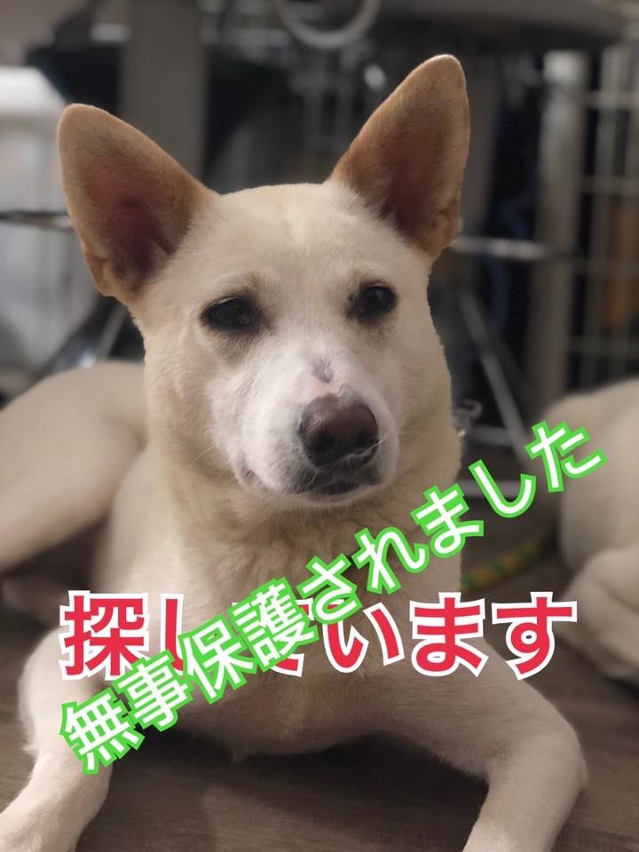 f:id:yasukazu01:20200827160913j:plain f:id:yasukazu01:20200827160913j:plain