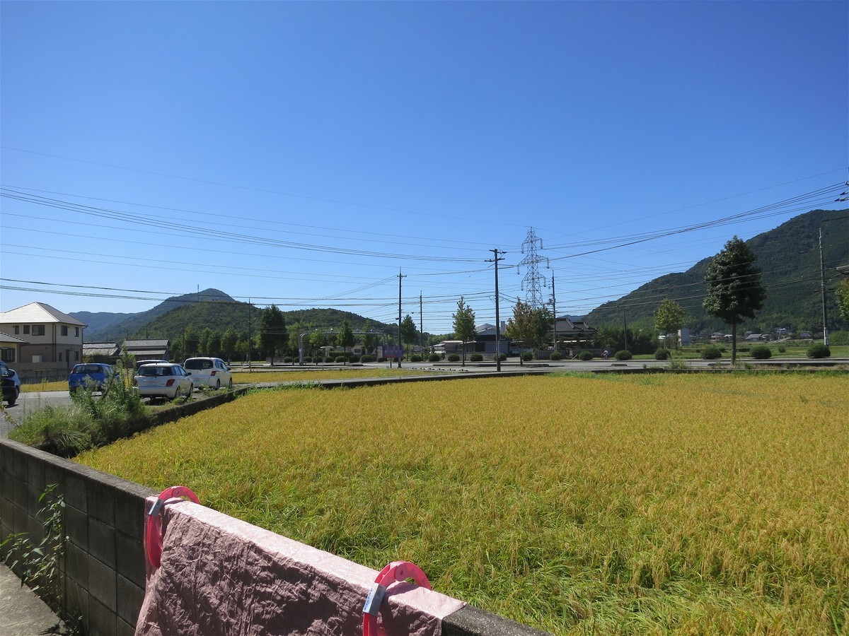 f:id:yasukazu01:20200916171234j:plain