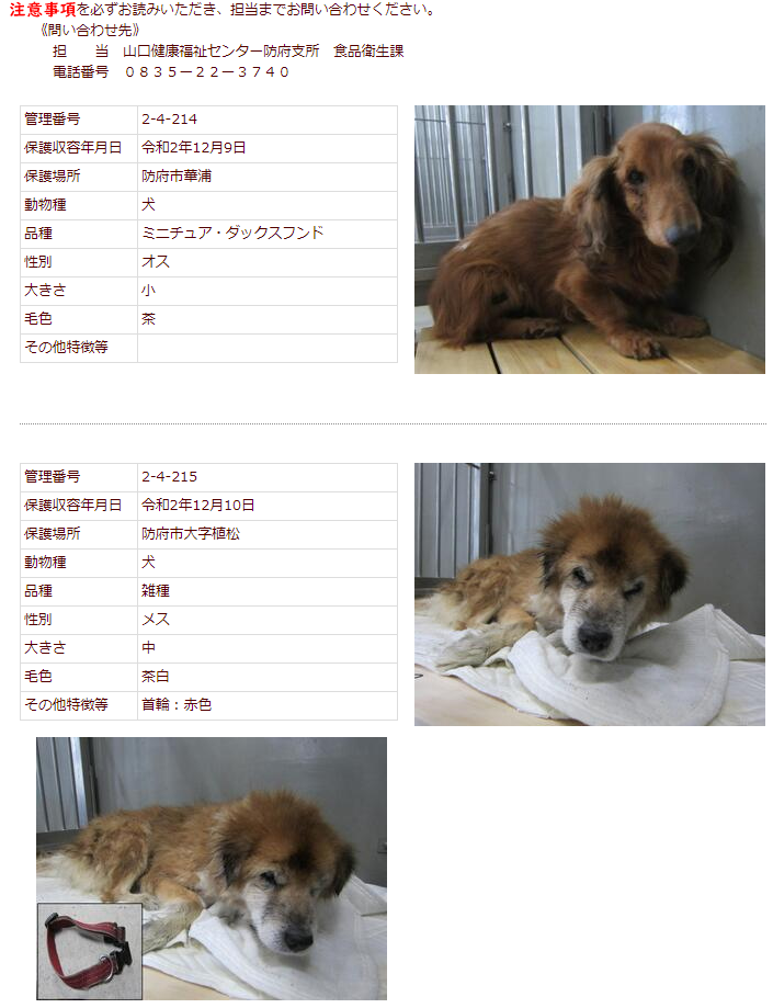 f:id:yasukazu01:20201211155348p:plain