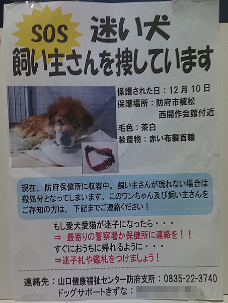 f:id:yasukazu01:20201213183648p:plain