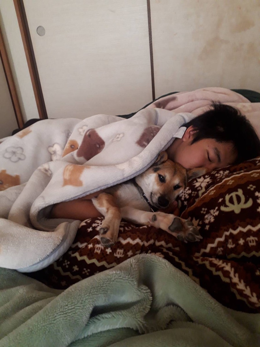f:id:yasukazu01:20210213200801j:plain