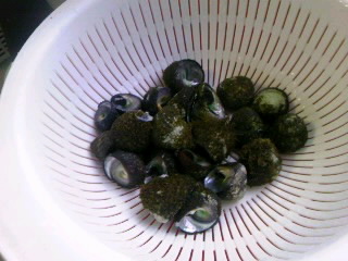 f:id:yasukiyo-t:20150811180443j:image