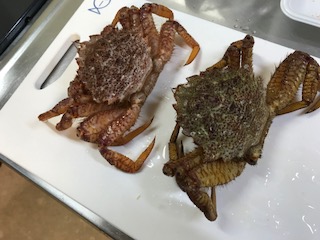 f:id:yasukiyo-t:20180425175941j:image