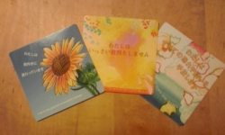 f:id:yasuko-imageup:20131219114206j:image f:id:yasuko-imageup:20131219114206j:image