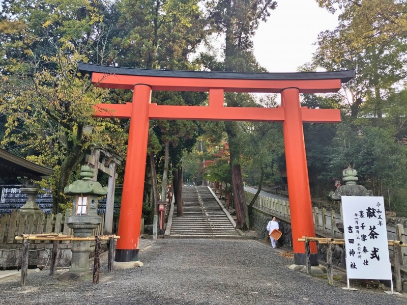 奇跡⁉ 災い転じて福となす !!w(ﾟoﾟ*)w 吉田神社献茶式 - やすこちゃん
