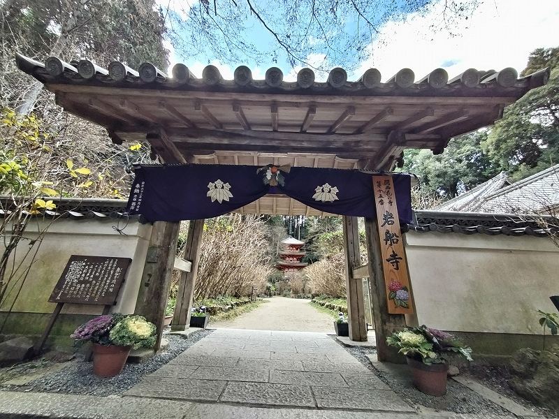 浄瑠璃寺と岩船寺が沸騰中 (((o(´∀｀)o))) - やすこちゃんの日記