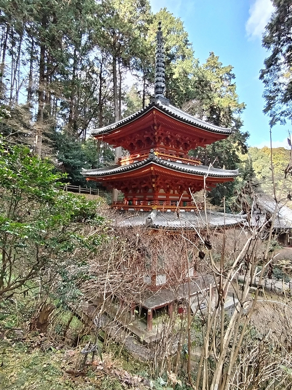 浄瑠璃寺と岩船寺が沸騰中 (((o(´∀｀)o))) - やすこちゃんの日記