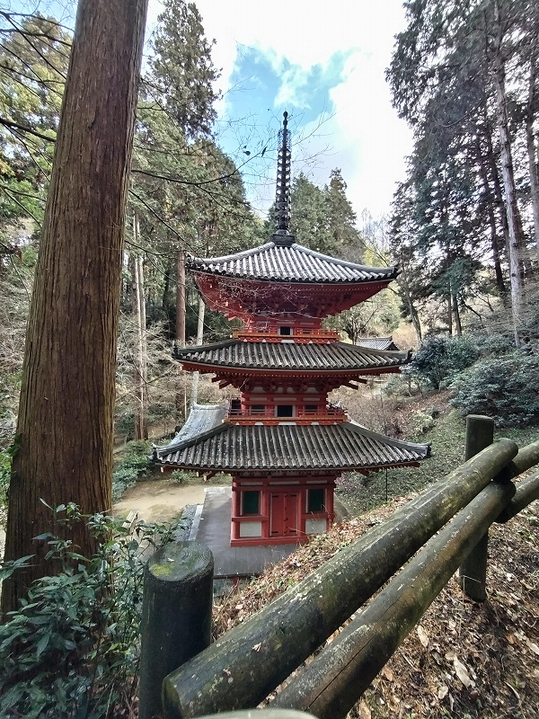 浄瑠璃寺と岩船寺が沸騰中 (((o(´∀｀)o))) - やすこちゃんの日記