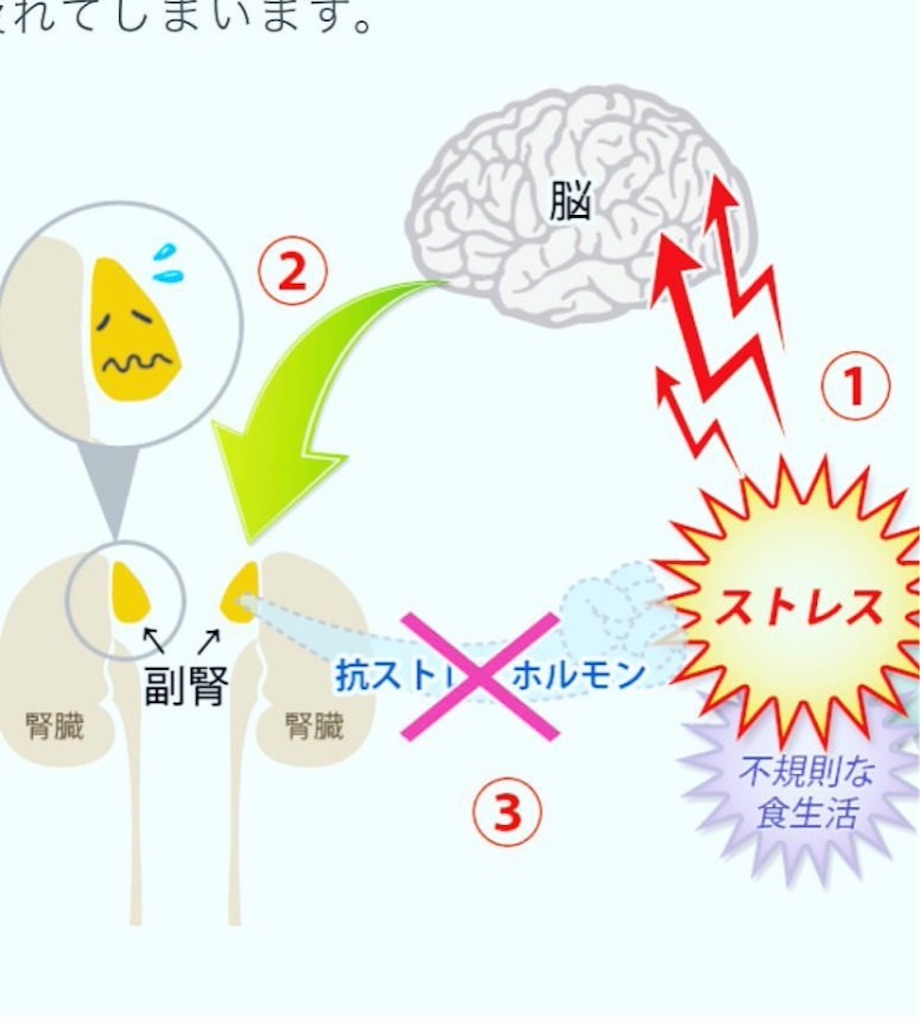 f:id:yasukoro1986227:20161028015224j:image f:id:yasukoro1986227:20161028015224j:image