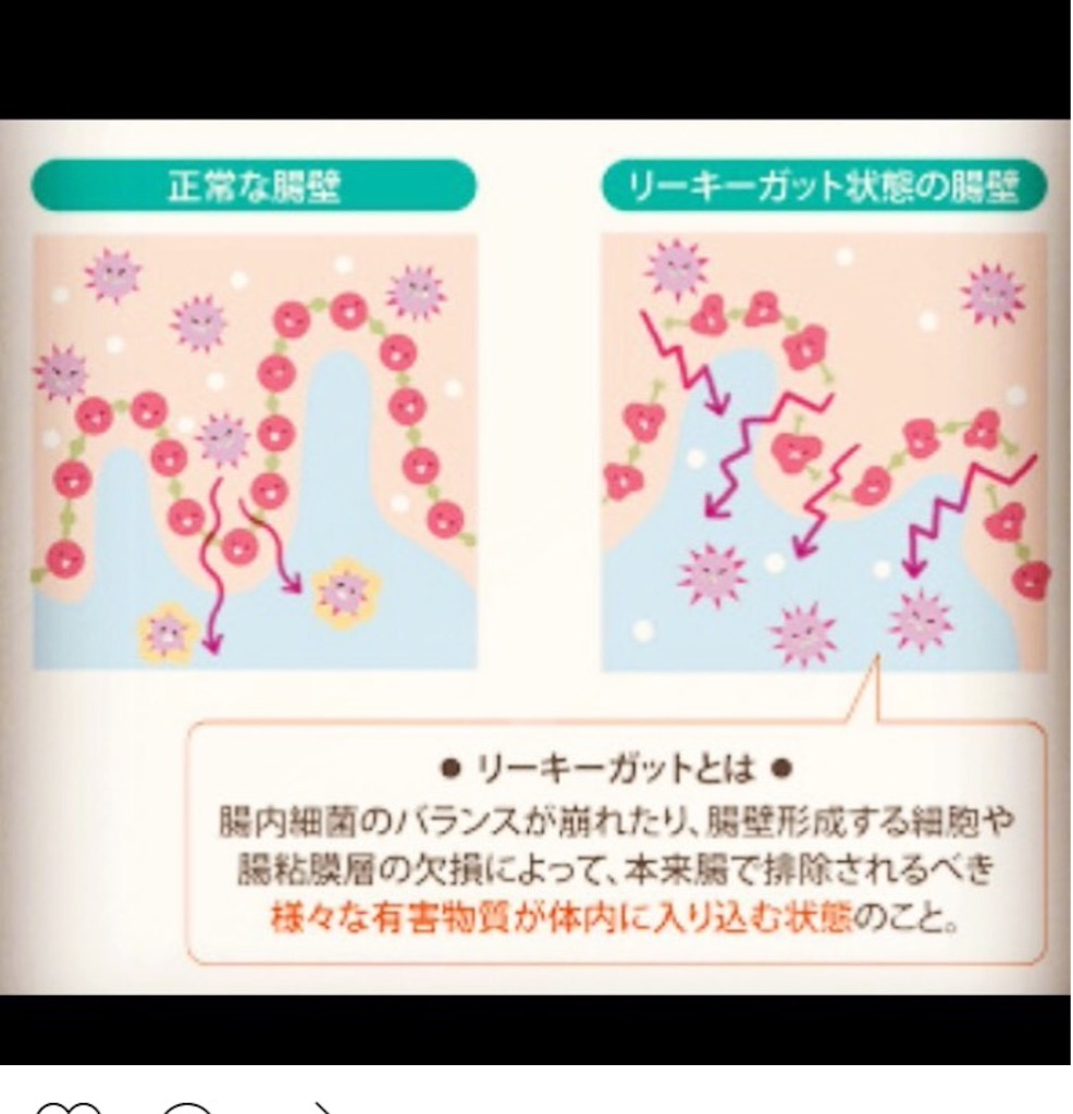 f:id:yasukoro1986227:20161028224459j:image f:id:yasukoro1986227:20161028224459j:image