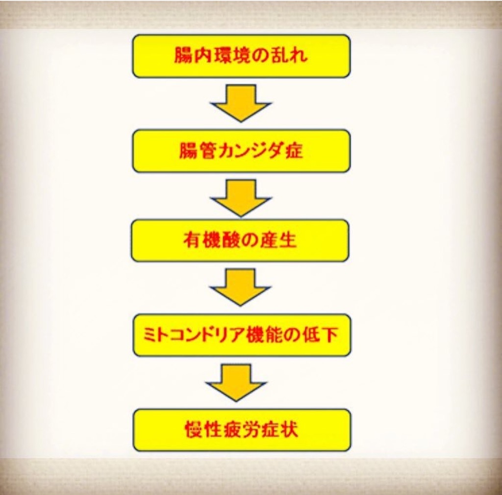 f:id:yasukoro1986227:20161029210949j:image f:id:yasukoro1986227:20161029210949j:image