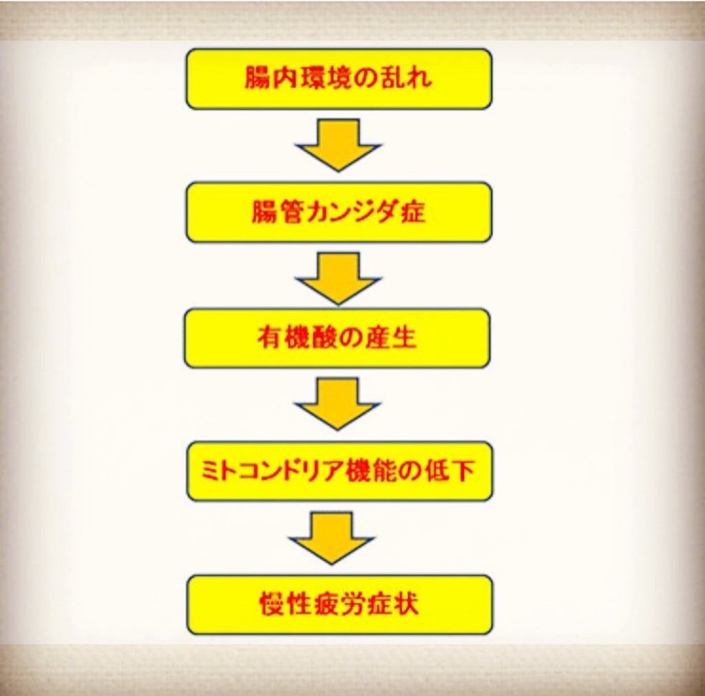 f:id:yasukoro1986227:20161029210949j:image