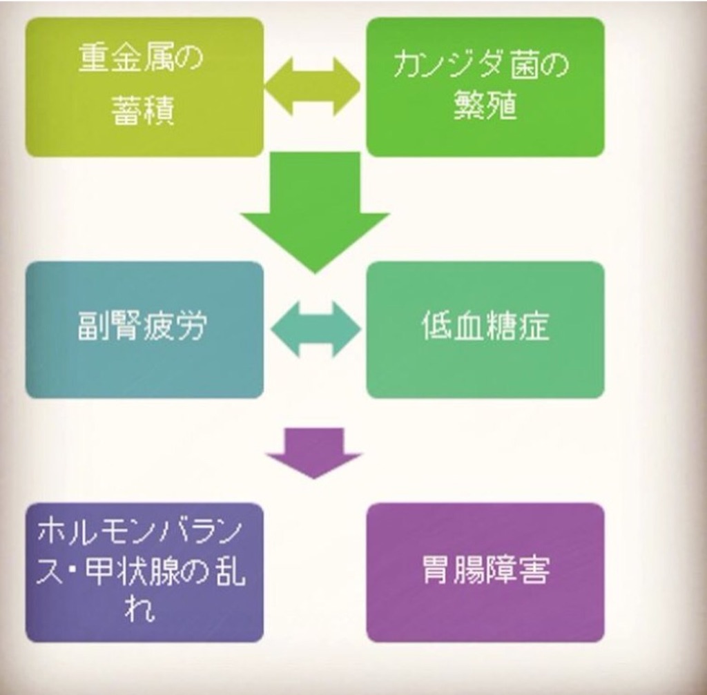 f:id:yasukoro1986227:20161101211344j:image f:id:yasukoro1986227:20161101211344j:image