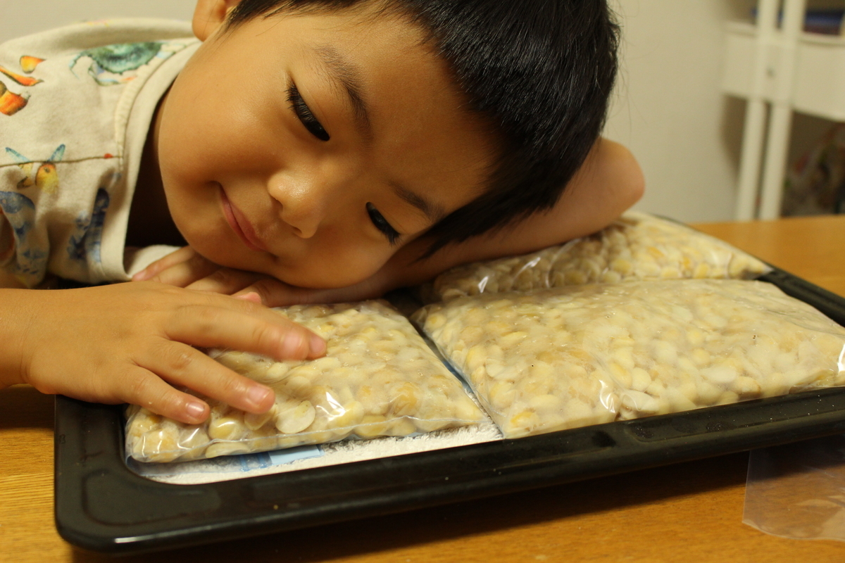 f:id:yasukosakaguchi:20200801134515j:plain f:id:yasukosakaguchi:20200801134515j:plain