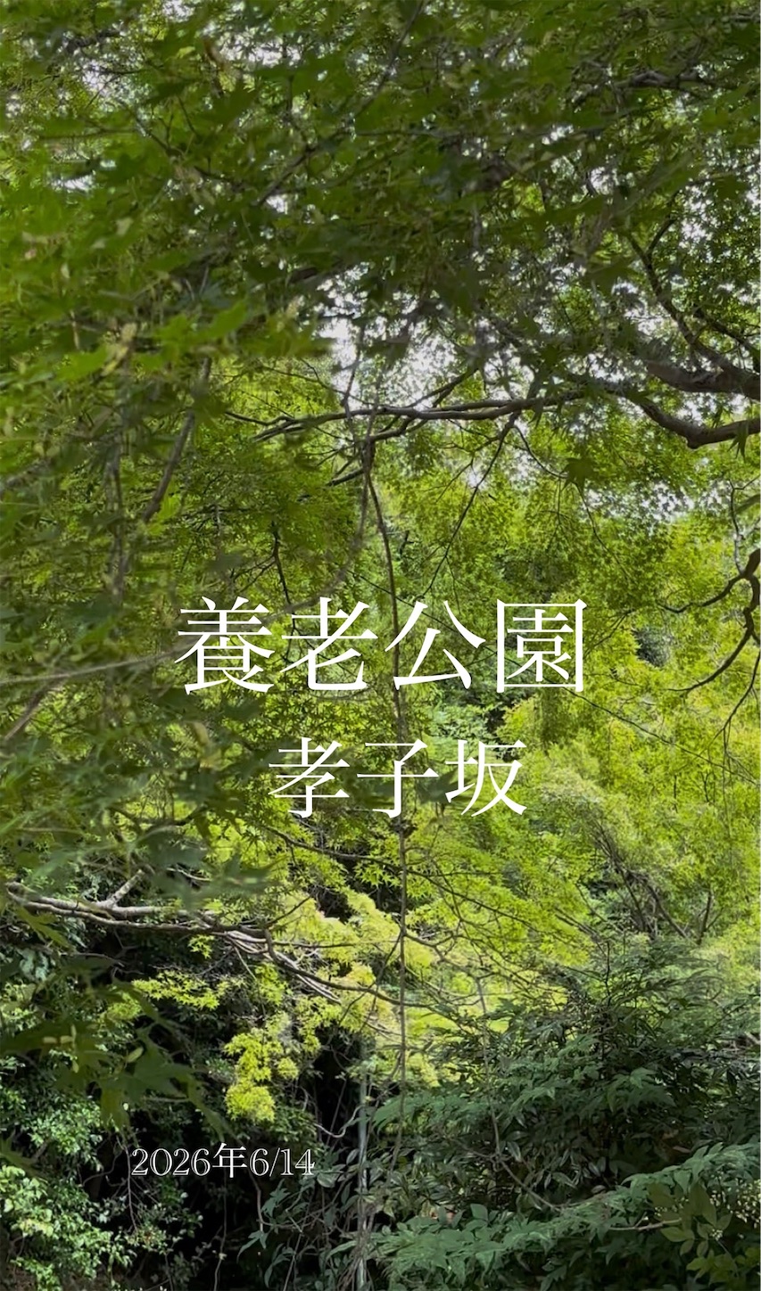 f:id:yasukotyd39:20260614193305j:image