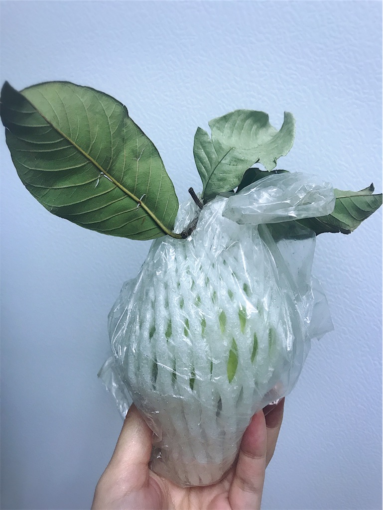 f:id:yasumarutaiwan:20191128163627j:image f:id:yasumarutaiwan:20191128163627j:image