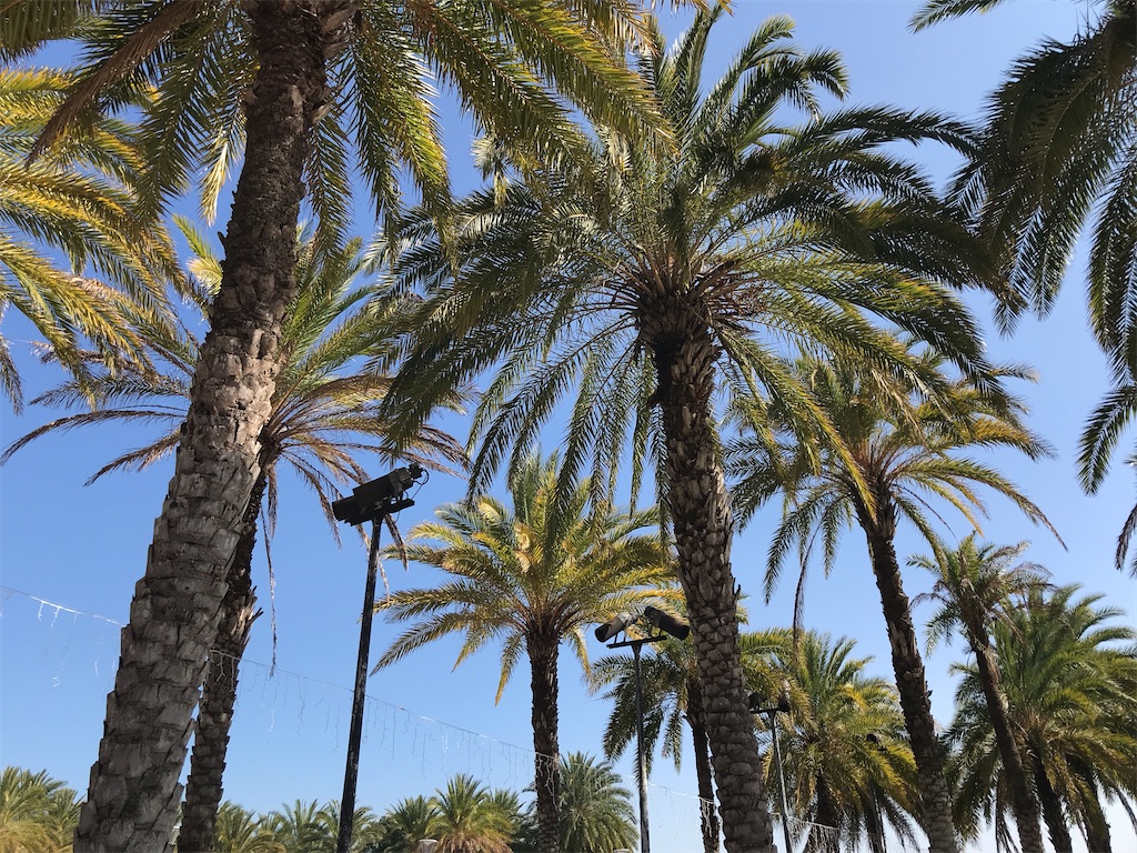 f:id:yasumarutaiwan:20191220165928j:image